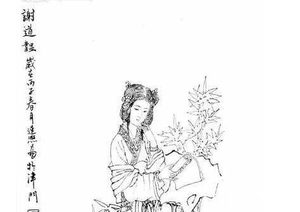 才女谢道韫如何把她的才气发挥的淋漓尽致