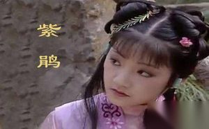 红楼梦紫鹃是谁的丫鬟 红楼梦紫鹃是惨死的吗
