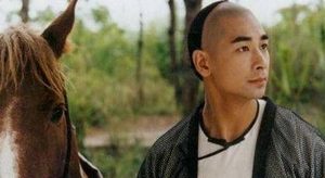 王维扬的武功 解析王维扬与张召重谁厉害