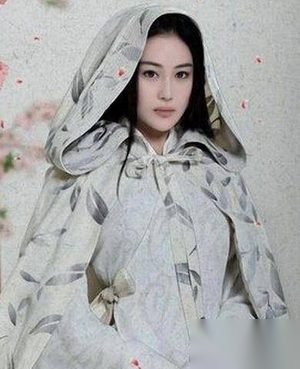 卫英未婚妻刘萱怎么会成为南大王的妃子的