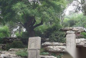 崇祯到底死于何处？景山自缢处不过是个象征