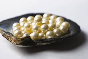 揭秘一代巨贪和珅的生财之道：4种手段积累财富