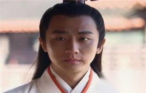 魏丑夫是战国时期大秦宣太后晚年的男宠吗