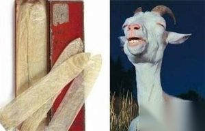 古代人是怎么避孕的？印度用粪便中国用水银