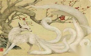 大禹和九尾狐的关系：大禹和狐狸的爱情传奇