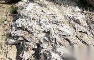 千年海昏古城消失之谜：在南昌六朝古墓出土