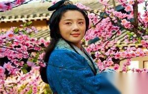 女卧底静姝既然怀孕了司马懿为何还要杀她