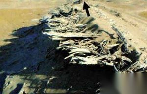 死亡罗布泊：古墓中竟然惊现4000年前木乃伊