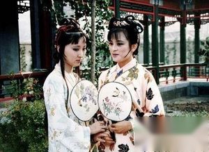 古代小说《红楼梦》：一个权贵家族的覆灭样本