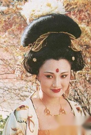 倾国倾城的杨贤妃被武宗赐死之谜 杨贤妃怎么死的