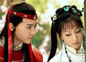 小说红楼梦中贾宝玉的梦中情人为何是秦可卿？