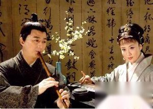 宋朝历史上当年轻的白富美遇到了高富帅会如何？