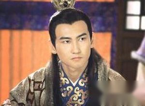 在小说《红楼梦》中到底有多少的同性恋？