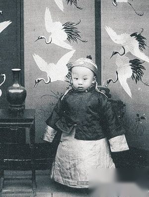 让溥仪依恋了一辈子的神秘女人：幼年畸恋乳母