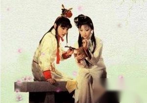 红楼梦中贾宝玉林黛玉为何越相爱越容易吵架？