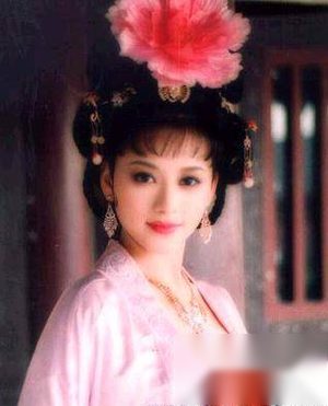 北魏贺兰夫人是鲜卑族和匈奴和亲的产物吗？