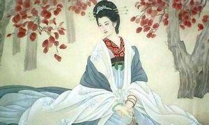 北方花魁为何不敌南方名妓？其中有何原因？