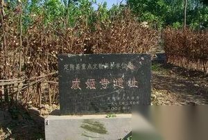 被吕后当“人彘” 戚夫人是受害者还是被报复？