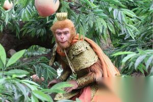 解密：孙悟空大闹天宫时为何敢自称“齐天大圣”？
