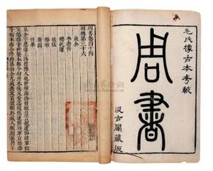 令狐德棻留下诸多著述，其中最有价值的是《周书》