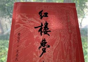 红楼梦真正想表达的是什么？红楼梦有何深意？