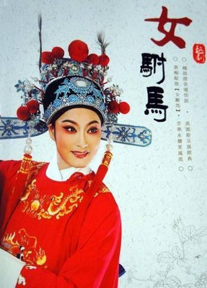 "女驸马的历史真实性与其背后的故事"
