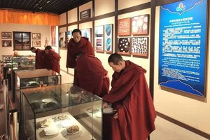 南杰格瓦丸：了解藏药的四大标准与八大优势