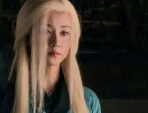 瑛姑的儿子被谁所伤？当时的情况是怎样的？