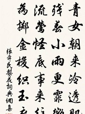 张舜民拼音是什么？读音怎么读？