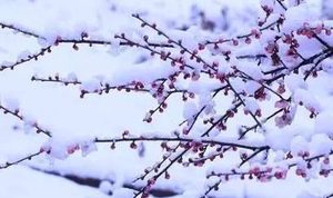 史达祖哪个朝代？生平是什么样的？