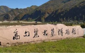 高句丽的崛起与隋朝的灭亡