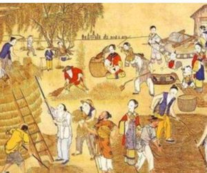 古代亩产几百斤粮食，究竟意味着什么？