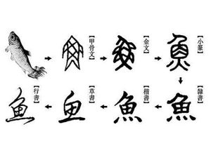 汉字的源起与演变：一段千年的文字之旅