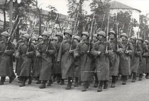 莫斯科保卫战：远东调兵的壮举