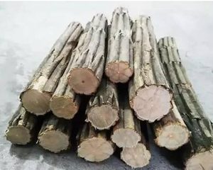 穆桂英与神秘的降龙木