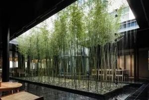 古代房屋朝向的奥秘：坐北朝南与坐东朝西