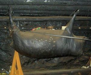四川扎坝臭猪肉的独特魅力，味道到底是什么样的？