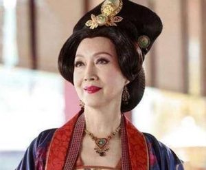 历史之谜：韦太后在金国生子的真相探究