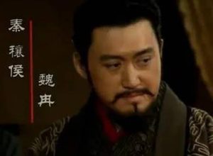魏冉：慧眼识才的战国政治家