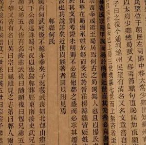 探索姓氏的传承：支姓的起源与来历