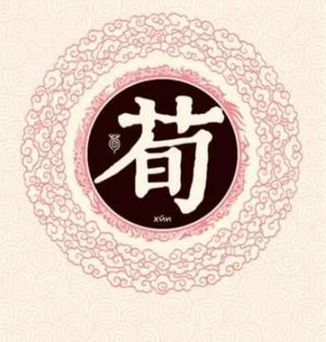 荀姓的起源与历史演变