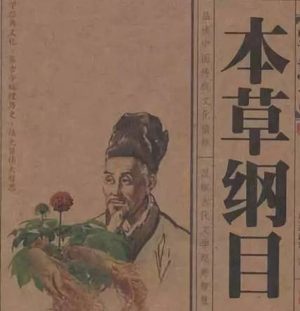 《本草纲目》：中医药学巨著的作者