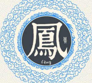 追溯凤姓的起源：上古天文历的守护者