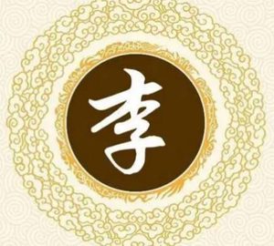 李姓与王姓：中国两大姓氏的传奇故事