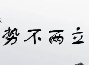 势不并立和势不两立的区别是什么？区别有多大？