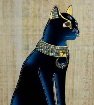 古埃及的神圣守护者：猫