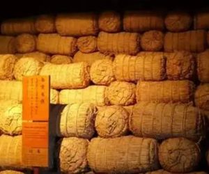 古代农耕：粮食产量的历史见证