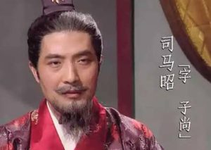 如果司马昭让司马攸继位，历史是否会改写？
