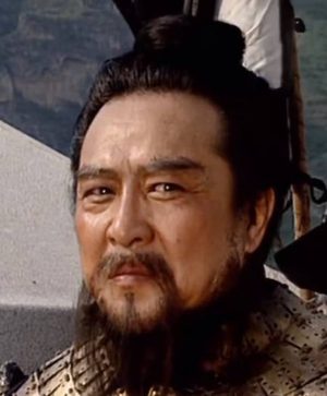 木门惊雷：张郃之死的历史迷雾与真相探寻