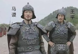 王平：蜀汉军魂的铸就者——从降将到北境长城的传奇之路